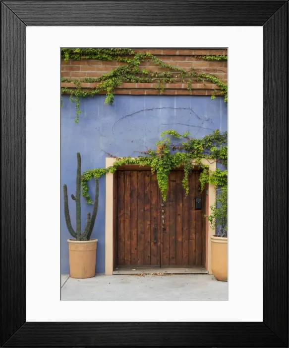 Framed Print : Todos Santos, Mexico. Wooden doorway in a blue stucco wall with ivy Framed Print : Todos Santos, Mexico. Wooden doorway in a blue stucco wall with ivy