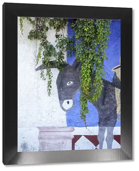 Cabo San Lucas, Mexico. Mural on a wall depicting a donkey (burro)
