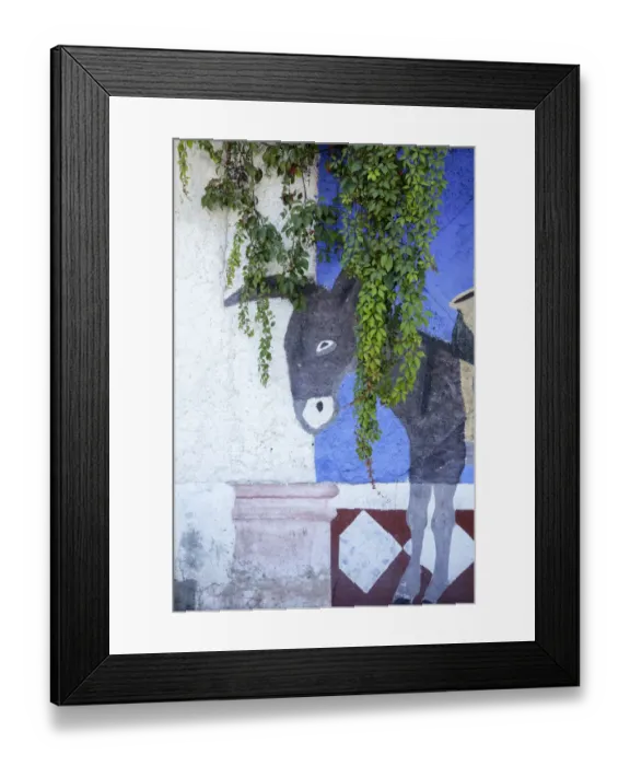 Framed Print : Cabo San Lucas, Mexico. Mural on a wall depicting a donkey (burro)