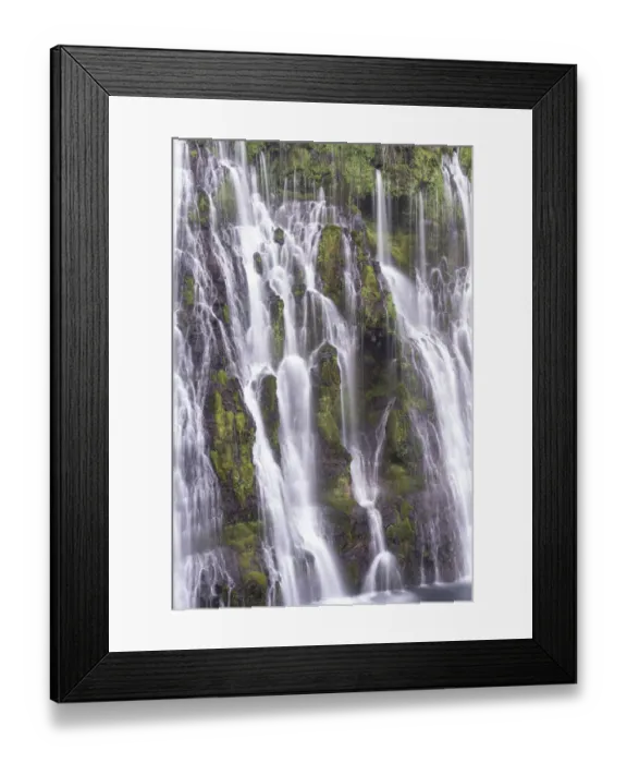 Framed Print : USA, California, McArthur-Burney Falls State Park. Burney Creek waterfall and ferns Framed Print : USA, California, McArthur-Burney Falls State Park. Burney Creek waterfall and ferns