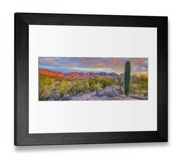 Framed Print : USA, Arizona, Catalina. Panoramic of sunset on desert and Catalina Mountains Framed Print : USA, Arizona, Catalina. Panoramic of sunset on desert and Catalina Mountains