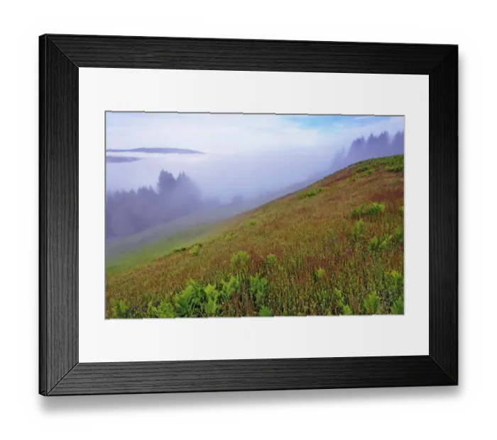 Framed Print : Foggy view of grasses Dolason Prairie