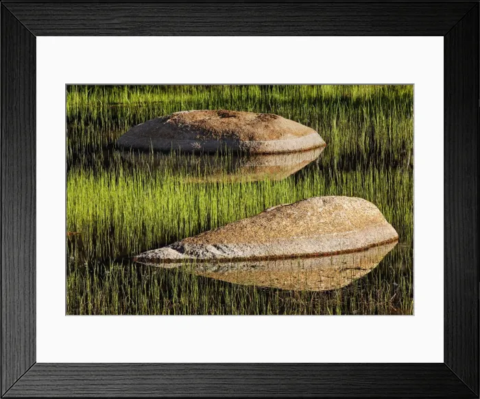 Framed Print : Rocks and grass at first light, Tuolumne Meadows, Yosemite National Park, California Framed Print : Rocks and grass at first light, Tuolumne Meadows, Yosemite National Park, California