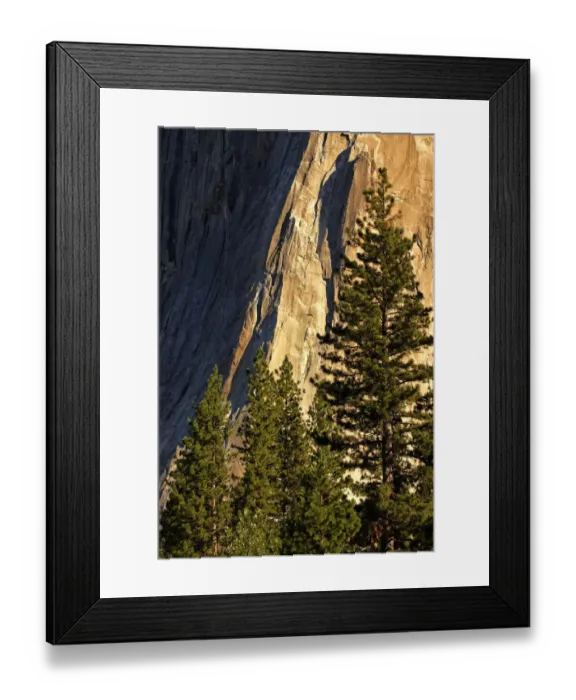 Framed Print : Pines at base of El Capitan, Yosemite National Park, California