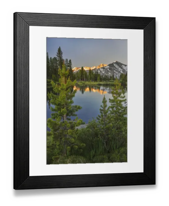 Framed Print : Alpine tarn, Tuolumne Meadows sunrise, Yosemite National Park, California Framed Print : Alpine tarn, Tuolumne Meadows sunrise, Yosemite National Park, California