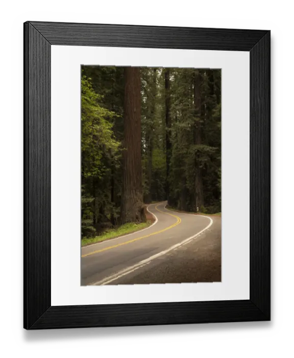Framed Print : USA, California, Humboldt Redwoods State Park. Avenue of the Giants road into park