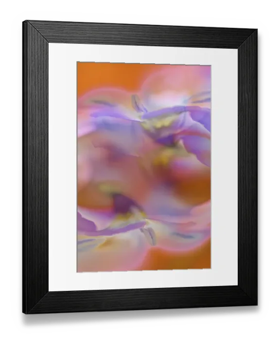 Framed Print : Abstract of Davy Gilia flowers, Antelope Valley California Poppy Preserve, Lancaster, California