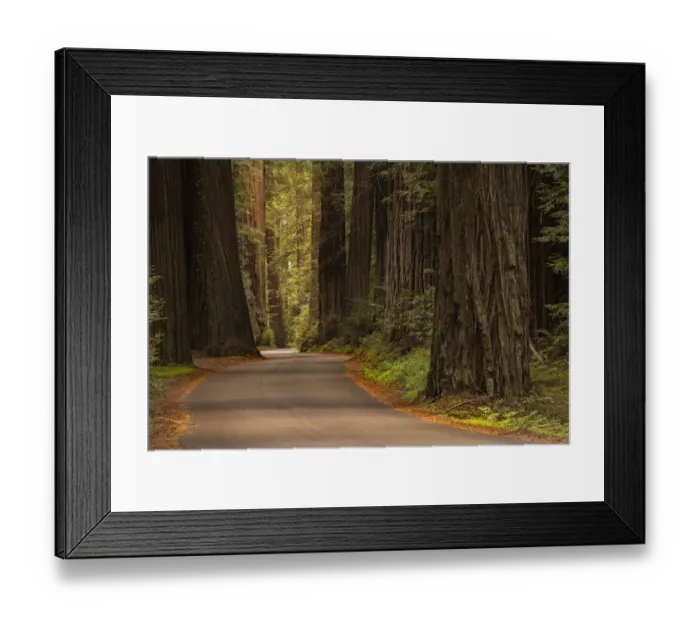 Framed Print : USA, California, Humboldt Redwoods State Park. Road through park redwoods Framed Print : USA, California, Humboldt Redwoods State Park. Road through park redwoods