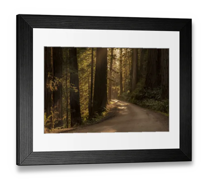 Framed Print : USA, California, Jedediah Smith Redwoods State Park. Dirt road winds through old growth coastal redwood trees Framed Print : USA, California, Jedediah Smith Redwoods State Park. Dirt road winds through old growth coastal redwood trees