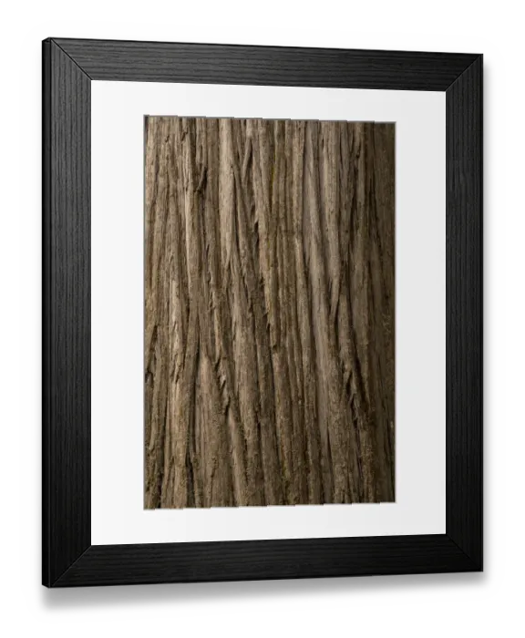 Framed Print : USA, California, Jedediah Smith Redwoods State Park. Close-up of coastal redwood tree bark Framed Print : USA, California, Jedediah Smith Redwoods State Park. Close-up of coastal redwood tree bark