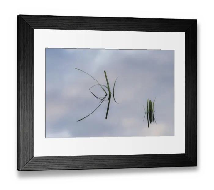 Framed Print : Grass stems and sky reflecting on pond surface, Lake Clark National Park and Preserve, Alaska