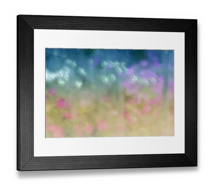 Framed Print : Soft focus view of flowering dogwood trees and azaleas in full bloom in spring, Bonaventure Cemetery, Savannah, Georgia Framed Print : Soft focus view of flowering dogwood trees and azaleas in full bloom in spring, Bonaventure Cemetery, Savannah, Georgia