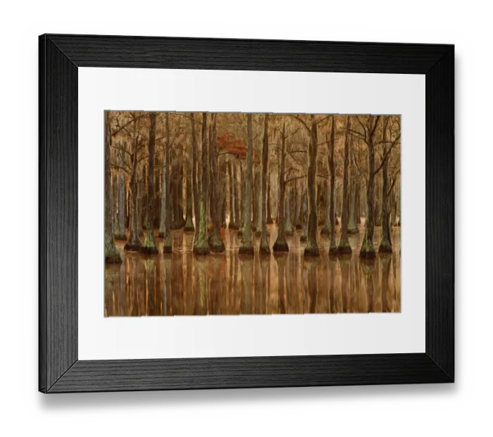 Framed Print : USA, Georgia, Fall cypress trees with reflections Framed Print : USA, Georgia, Fall cypress trees with reflections