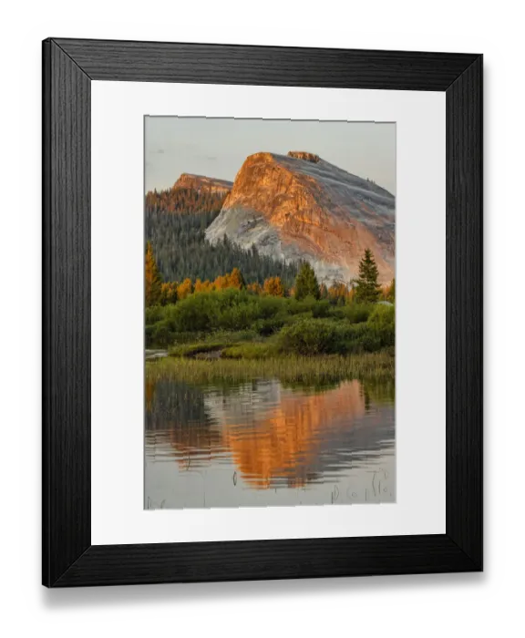 Framed Print : Tuolumne Meadows and Lembert Dome reflected in Tuolumne River, Yosemite National Park, California at sunset Framed Print : Tuolumne Meadows and Lembert Dome reflected in Tuolumne River, Yosemite National Park, California at sunset