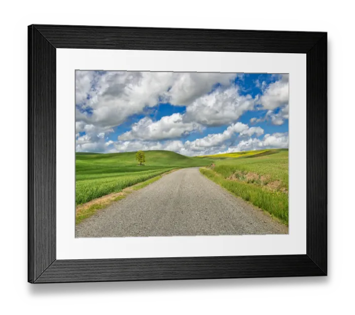 Framed Print : USA, Idaho, Palouse. Backroad with lone tree in wheat field Framed Print : USA, Idaho, Palouse. Backroad with lone tree in wheat field