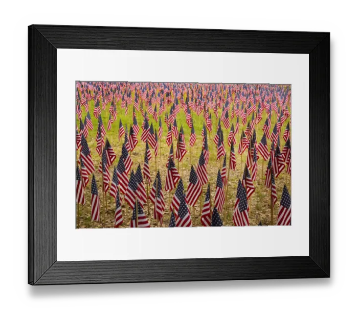 Framed Print : USA, Georgia, Savannah. Memorial Day celebration with American flag