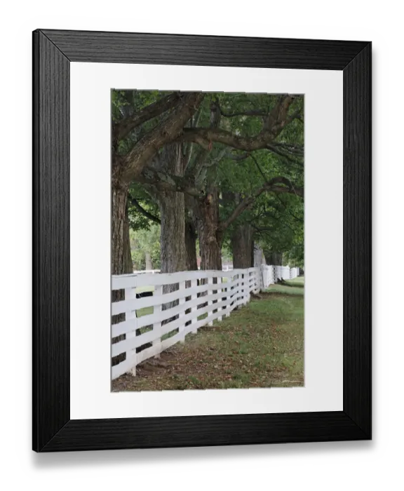 Framed Print : Gate and white wooden fence and overhanging trees, Shaker Village of Pleasant Hill, Harrodsburg, Kentucky Framed Print : Gate and white wooden fence and overhanging trees, Shaker Village of Pleasant Hill, Harrodsburg, Kentucky