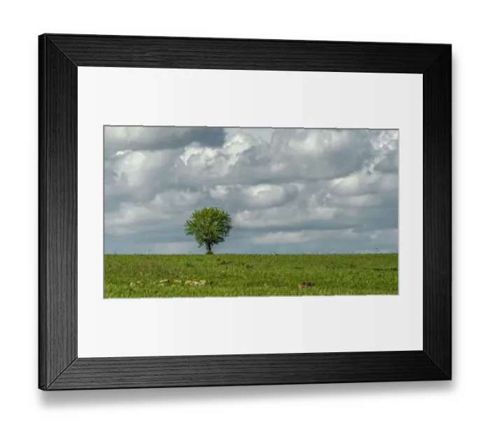 Framed Print : Tree and a bird Framed Print : Tree and a bird