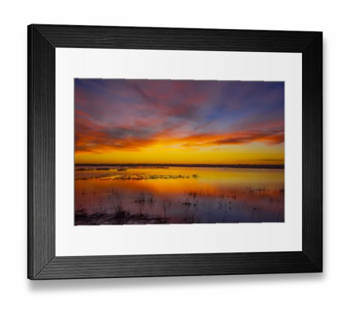 Framed Print : Sunset at Quivira National Game Refuge