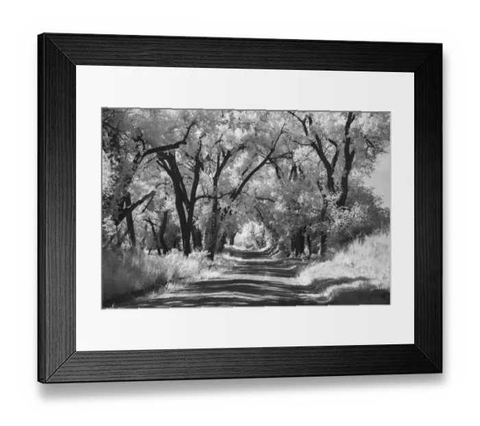 Framed Print : Country Road in Kansas, infrared photo Framed Print : Country Road in Kansas, infrared photo