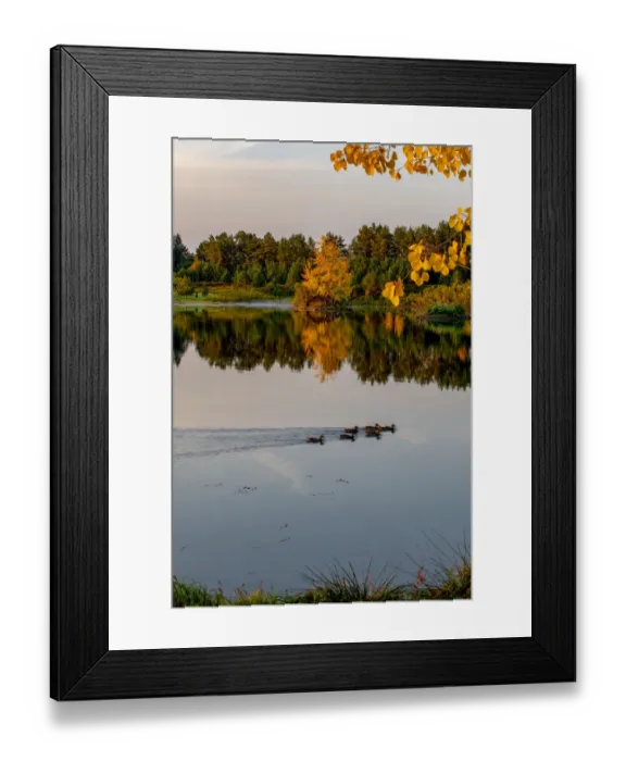 Framed Print : USA, Minnsota, Duluth, Fall Color Framed Print : USA, Minnsota, Duluth, Fall Color