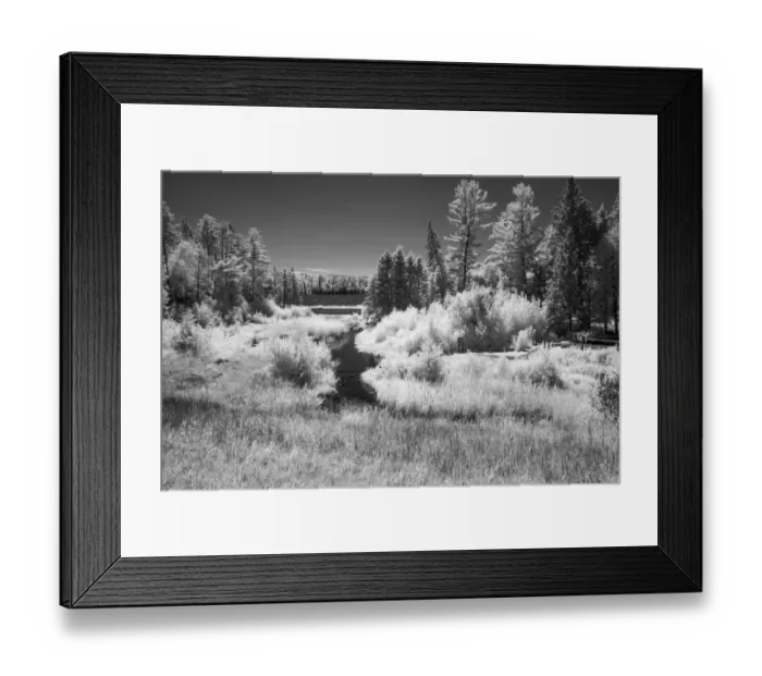 Framed Print : USA, Minnesota, La Salle State Recreation Area