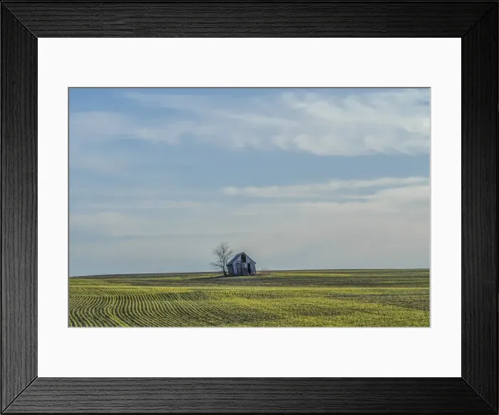 Framed Print : Little barn in the middle of a wheat field Framed Print : Little barn in the middle of a wheat field