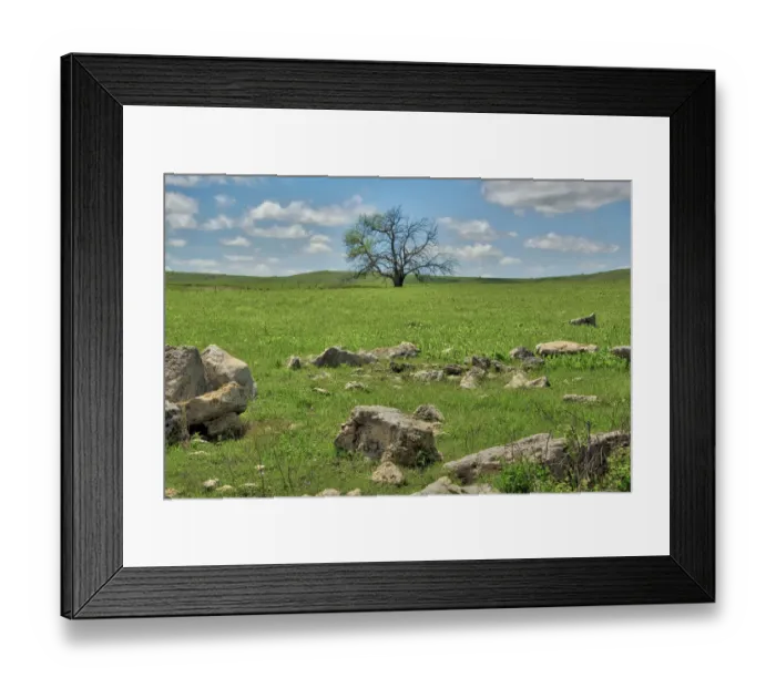 Framed Print : Lone tree in the Flint Hills of Kansas Framed Print : Lone tree in the Flint Hills of Kansas