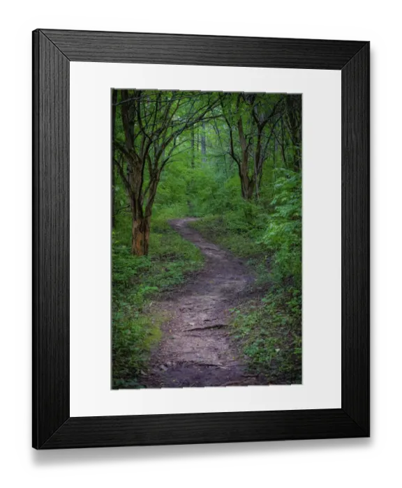 Framed Print : Forest path, Whitewater Memorial State Park, Indiana, USA Framed Print : Forest path, Whitewater Memorial State Park, Indiana, USA