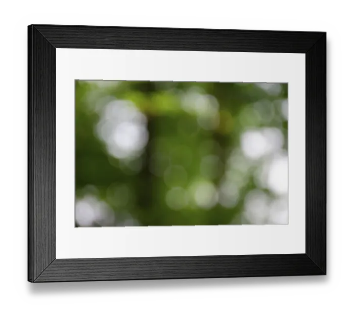 Framed Print : Bokeh, Whitewater Memorial State Park, Indiana, USA