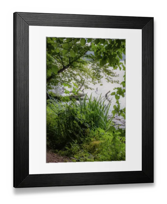 Framed Print : Lakes edge, Whitewater Memorial State Park, Indiana, USA