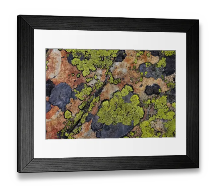 Framed Print : Colorful lichen patterns on rocks along McDonald Creek in Glacier National Park, USA