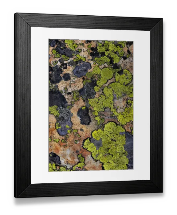 Framed Print : Colorful lichen patterns on rocks along McDonald Creek in Glacier National Park, USA Framed Print : Colorful lichen patterns on rocks along McDonald Creek in Glacier National Park, USA