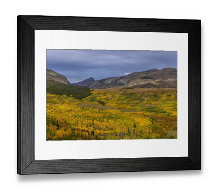 Framed Print : Autumn Aspen groves with Red Mountain in Glacier National Park, Montana, USA