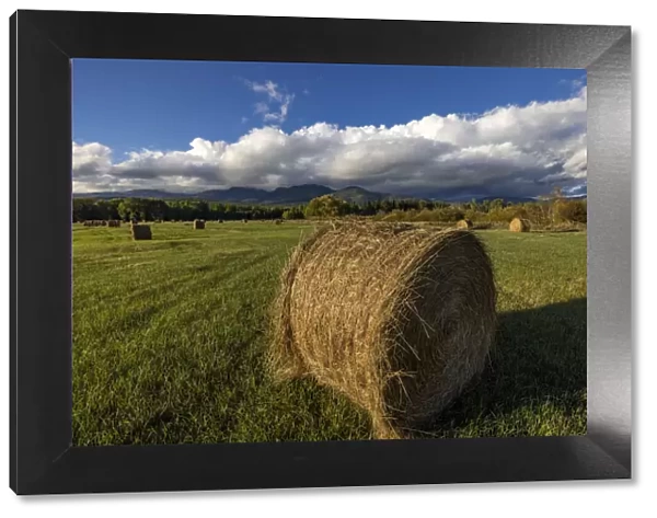 Hay bales with Big Mountain in Whitefish, Montana, USA
