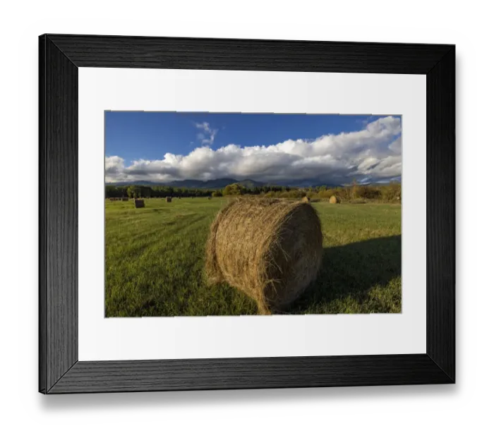 Framed Print : Hay bales with Big Mountain in Whitefish, Montana, USA