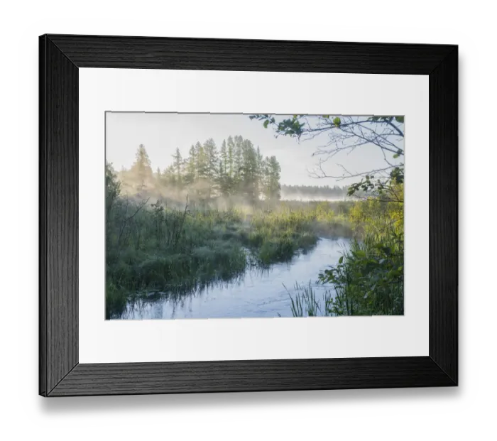 Framed Print : USA, Minnesota, Itasca State Park, Mississippi Headwaters