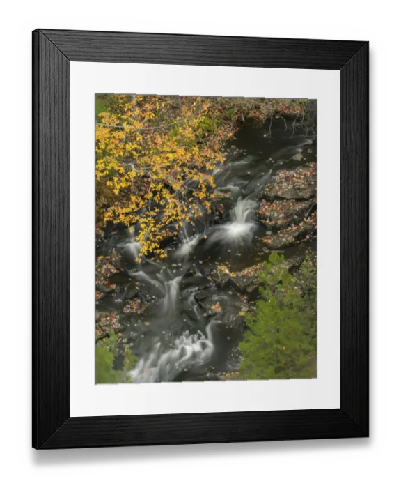 Framed Print : USA, Maine, Acadia National Park. Stream rapids in forest Framed Print : USA, Maine, Acadia National Park. Stream rapids in forest