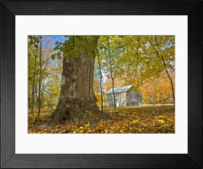 Framed Print : Michigan Barn in autumn