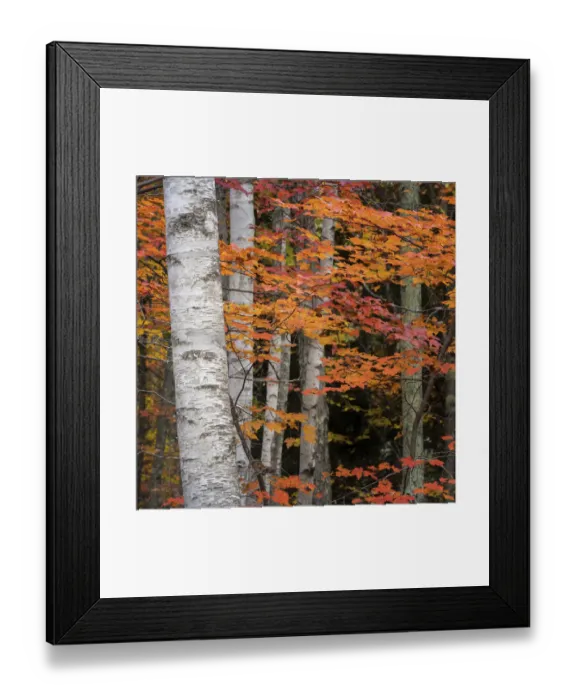 Framed Print : USA, Maine, Acadia National Park