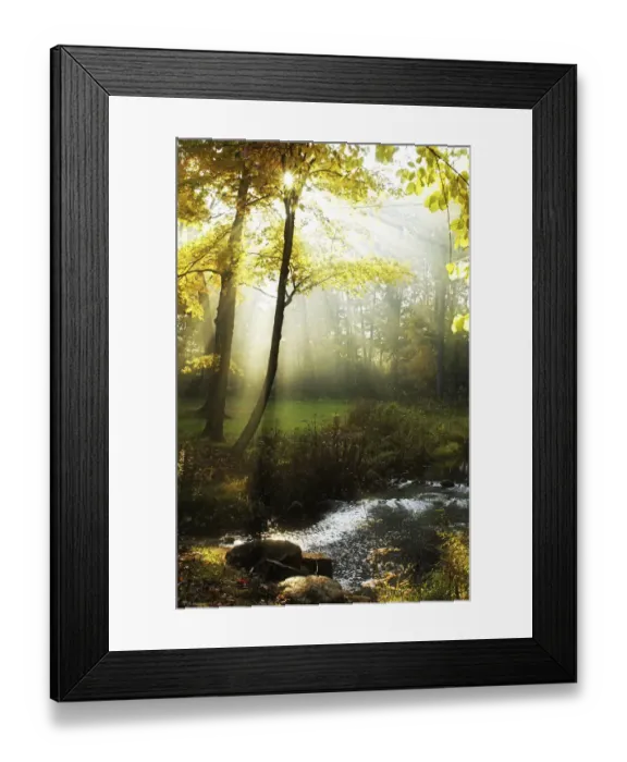 Framed Print : Stream with morning mist and rays of sun