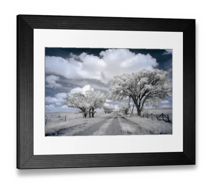 Framed Print : Dirt road in the Flint Hills of Kansas