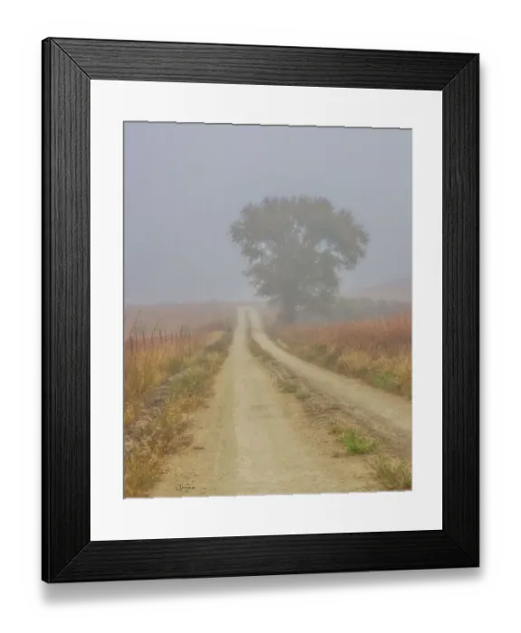 Framed Print : Foggy morning on a Kansas backroad Framed Print : Foggy morning on a Kansas backroad