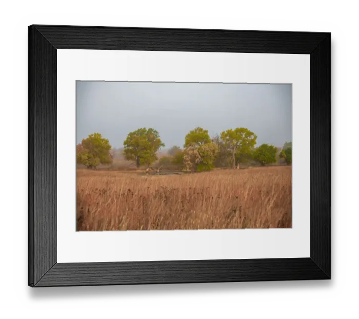 Framed Print : Early morning fog in the Flint Hills of Kansas Framed Print : Early morning fog in the Flint Hills of Kansas
