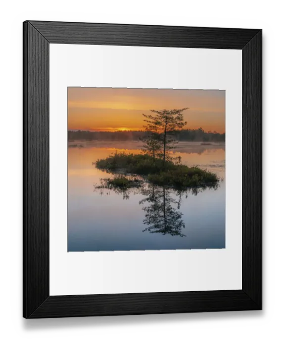 Framed Print : USA, New Jersey, Pinelands National Reserve. Sunrise reflections in marsh