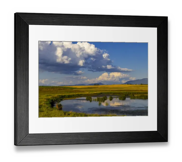 Framed Print : Wetlands pond in the Flathead Valley, Montana, USA Framed Print : Wetlands pond in the Flathead Valley, Montana, USA