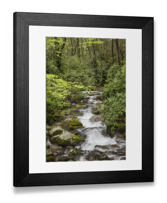 Framed Print : Cascading mountain stream, Great Smoky Mountains National Park, Tennessee, North Carolina Framed Print : Cascading mountain stream, Great Smoky Mountains National Park, Tennessee, North Carolina