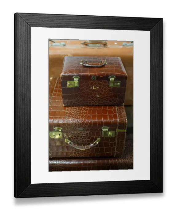 Framed Print : Vintage alligator skin luggage