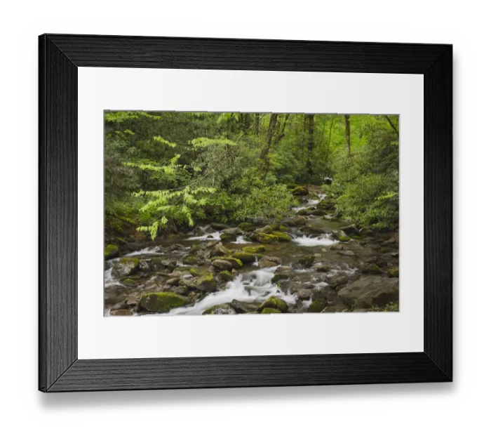 Framed Print : Cascading mountain stream, Great Smoky Mountains National Park, Tennessee, North Carolina