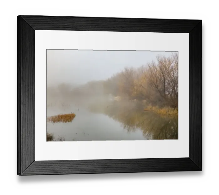 Framed Print : Trees on foggy morning, Bosque del Apache National Wildlife Refuge, New Mexico Framed Print : Trees on foggy morning, Bosque del Apache National Wildlife Refuge, New Mexico